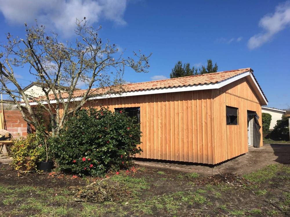 Renovation (44)