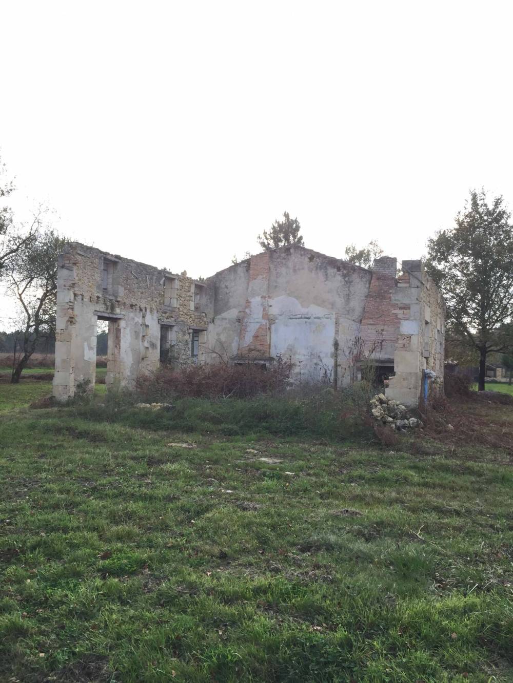 Renovation (77)